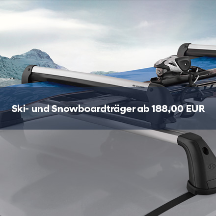 Winterangebot Ski-und Snowboardträger