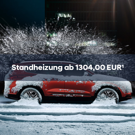 Winterangebot Standheizung