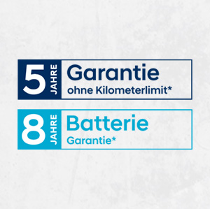 Händlerversprechen Garantie