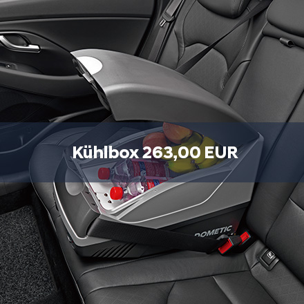 Kühlbox_final