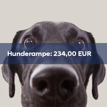 Hunderampe_2025