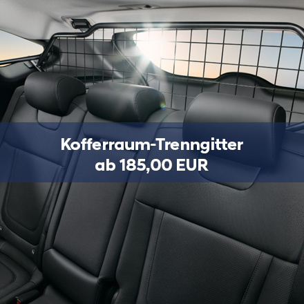 Kofferraum-Trenngitter_2025