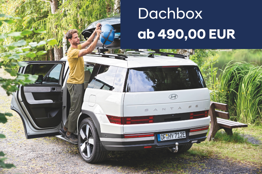 Dachbox_2025