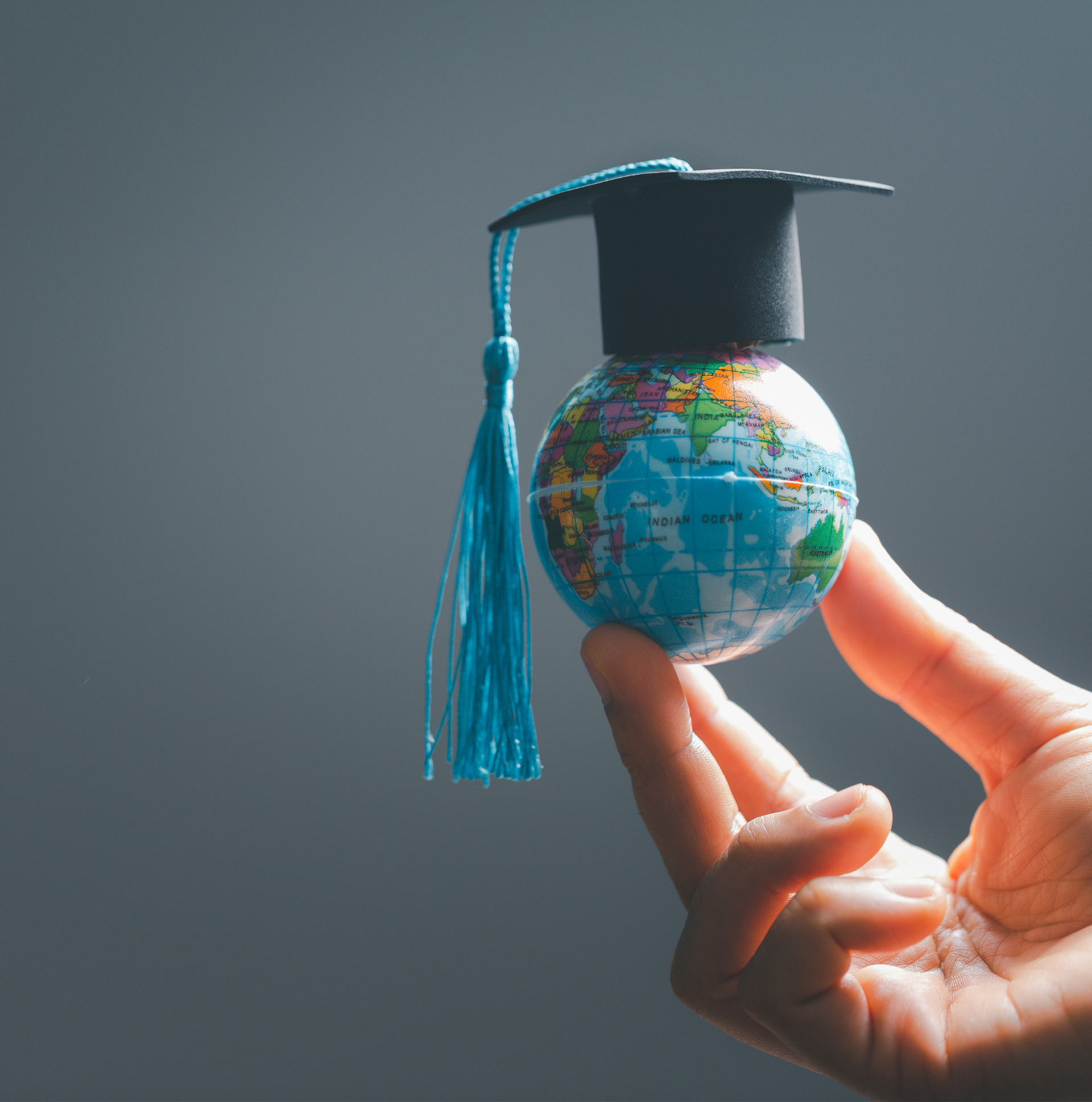 Ausbildung und duales Studium