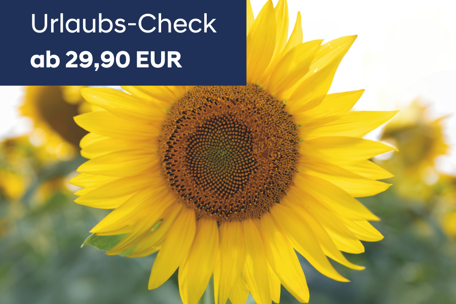 Urlaubs-Check_2025