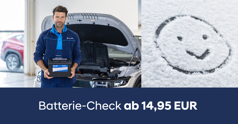 Batterie-Check 2025