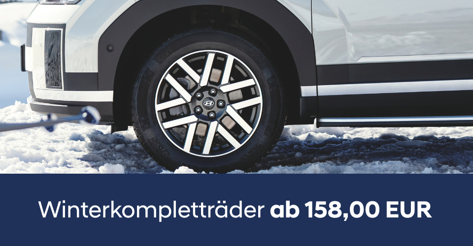 Winterkompletträder 2025