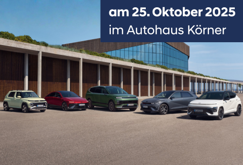 Hyundai Familientreffen_Event_2025