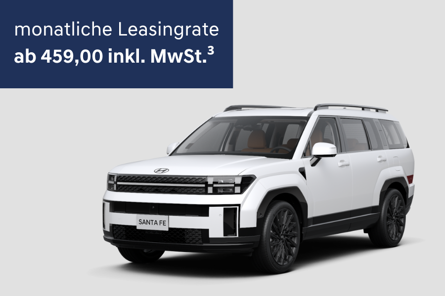 Hyundai SANTA FE_B2C