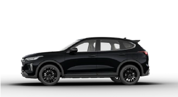 Starry Black (Metallic)