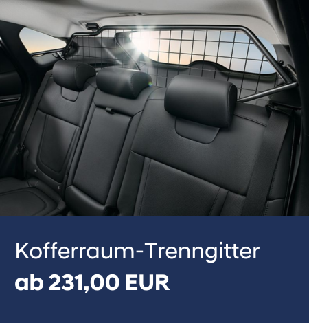 Kofferraum-Trenngitter_2026