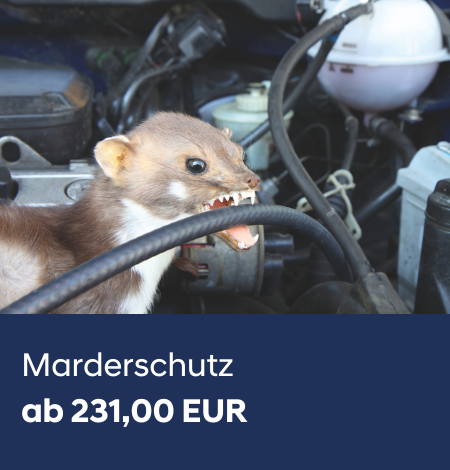 Marderschutz_2026