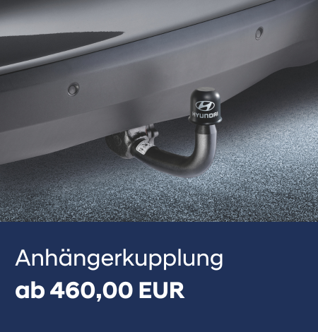 Anhängerkupplung_2026