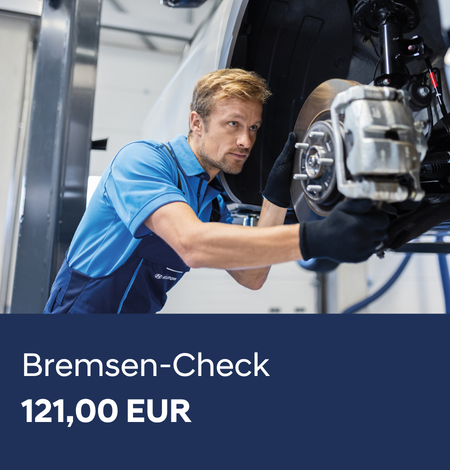 Bremsen-Check_2026