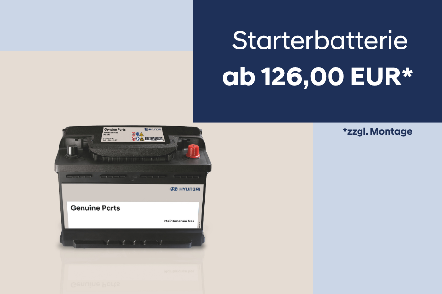 Starterbatterie_2026